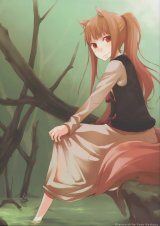 BUY NEW spice and wolf - 175836 Premium Anime Print Poster